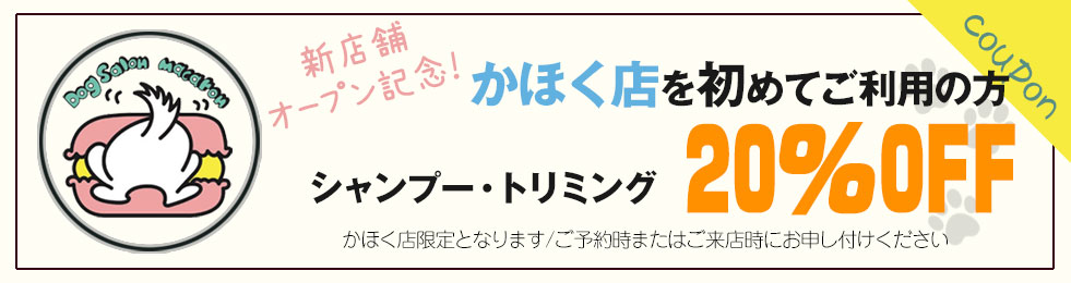 かほく店限定!初回シャンプー・トリミング20%OFF