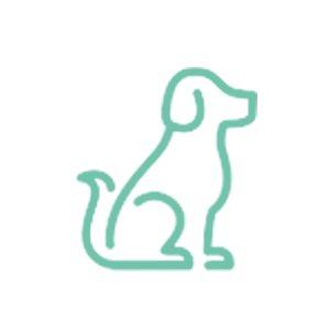 清潔な店内だから、ワンちゃんも安心・リラックスできます！