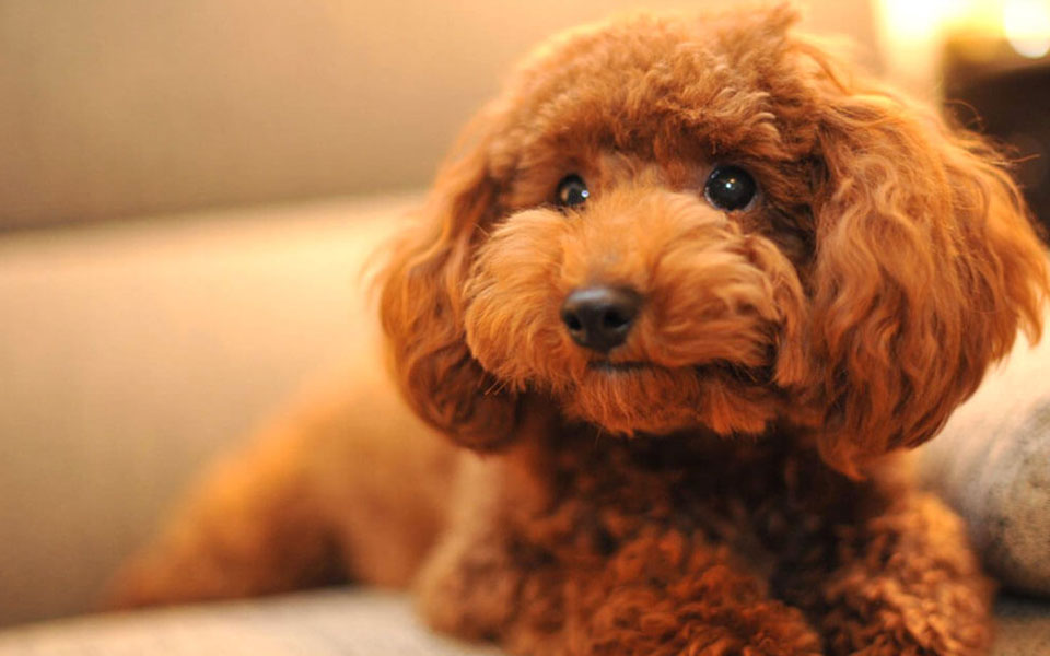 じっくりとヒアリング・カウンセリング致します！